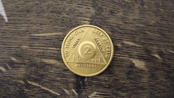 Bronze 2 måneds mønt