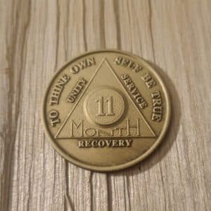 Bronze 11 måneders mønt